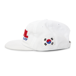 World Cup 6 Panel