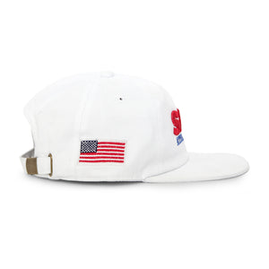 World Cup 6 Panel